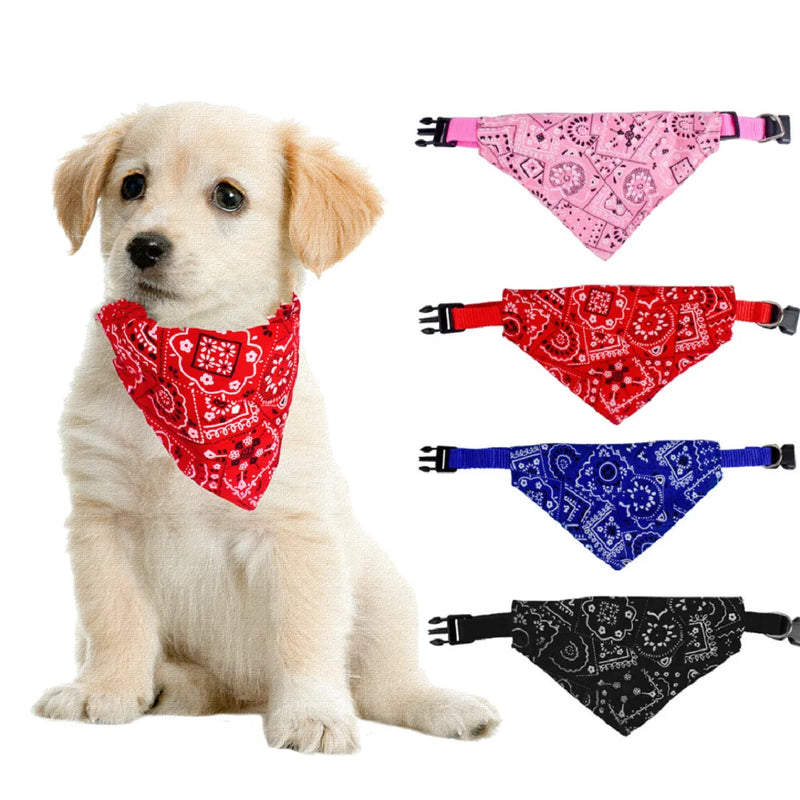 Bandana colar para pet filhote de cachorro e gato